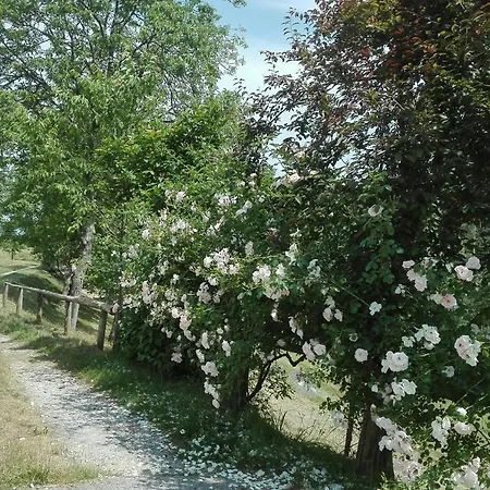 Locanda San Martino Massac