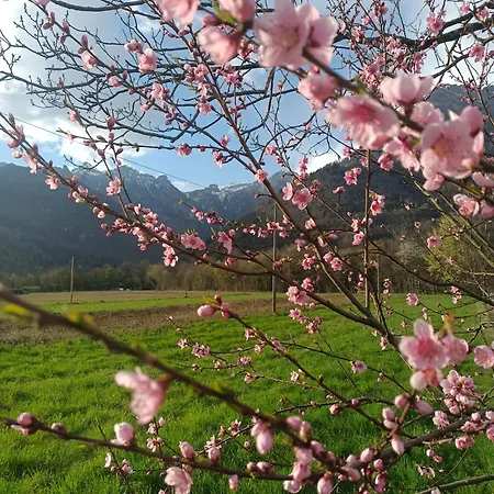 Tatil Evi San Martino Massac
